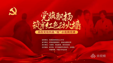 视频微课截图