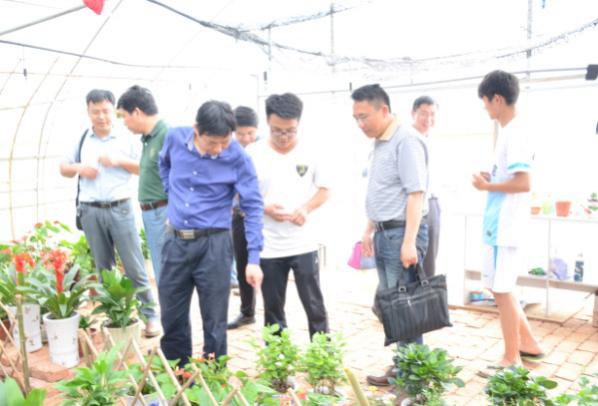 学校领导检查农生院草花基地生产情况