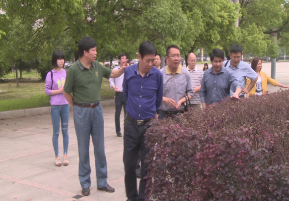学校领导检查海园广场植物修剪情况